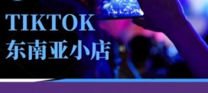Tiktok东南亚跨境小店运营班，一门专业的TK小店运营培训课-16888副业资讯