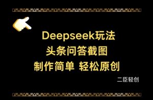 Deepseek头条问答截图，制作简单，轻松原创-16888副业资讯