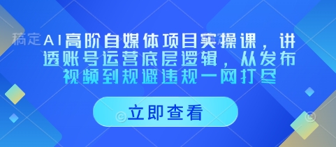 AI高阶自媒体项目实操课，讲透账号运营底层逻辑，从发布视频到规避违规一网打尽-16888副业资讯