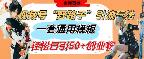 视频号“野路子”玩法，评论区疯狂截流，一套模板单日单号引流50+创业粉-16888副业资讯