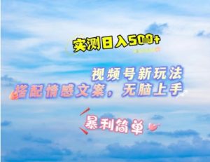 微信视频号最新玩法，表情包搭配情感文案，2分钟一条原创作品，简单好上手，轻松日入几张-16888副业资讯