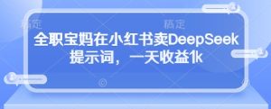 全职宝妈在小红书卖DeepSeek提示词,一天收益1k-16888副业资讯