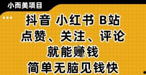 小而美的项目，抖音小红书B站视频点赞、关注、评论就能挣钱，简单无脑立见收益，妥妥的零撸项目【揭秘】-16888副业资讯