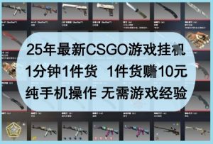 25年最新CSGO游戏挂G，1分钟1件货，1件货挣10元，纯手机操作，无需游戏经验【揭秘】-16888副业资讯