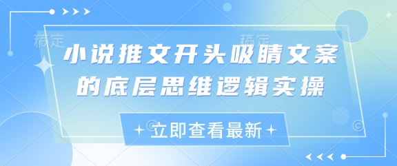 小说推文开头吸睛文案的底层思维逻辑实操-16888副业资讯