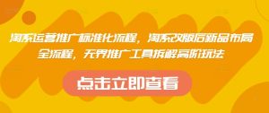 淘系运营推广标准化流程，​淘系改版后新品布局全流程，无界推广工具拆解高阶玩法-16888副业资讯