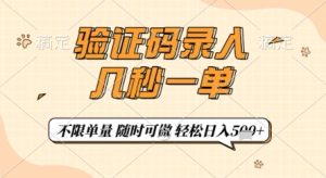 验证码录入,几秒钟一单,只需一部手机即可开始,随时随地可做,每天5张+【揭秘】-16888副业资讯