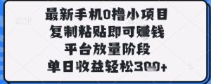 最新手机0撸小项目,复制粘贴即可挣钱,平台放量阶段,单日收益轻松3张+【揭秘】-16888副业资讯