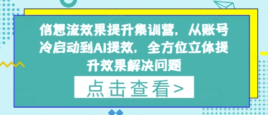 信息流效果提升集训营，从账号冷启动到AI提效，全方位立体提升效果解决问题-16888副业资讯