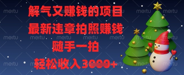 解气又挣钱的项目，最新违章拍照挣钱，随手一拍，轻松收入数张【揭秘】-16888副业资讯