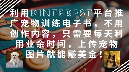利用Pinterest平台推广宠物训练电子书，不用创作内容，只需要每天利用业余时间，上传宠物图片就能挣美金!-16888副业资讯