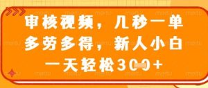视频审核员，几秒一单，不限时间，不限地点，多做多得，新人小白一天轻松几张+【揭秘】-16888副业资讯