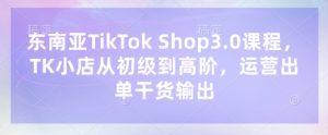 东南亚TikTok Shop3.0课程，TK小店​从初级到高阶，运营出单干货输出-16888副业资讯