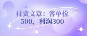 付费文章:客单价500,利润300-16888副业资讯