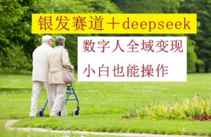 银发赛道+deepseek数字人全域变现,小白也能操作-16888副业资讯