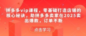 拼多多vip课程，零基础打造店铺的核心秘诀，助拼多多卖家在2025卖出爆款，订单不断-16888副业资讯