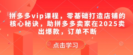 拼多多vip课程，零基础打造店铺的核心秘诀，助拼多多卖家在2025卖出爆款，订单不断-16888副业资讯