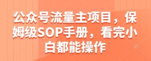 公众号流量主项目，保姆级SOP手册，看完小白都能操作-16888副业资讯