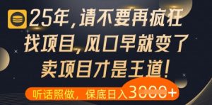 什么？25年你还在疯狂找项目做，醒醒吧，看完这些你全都懂了【揭秘】-16888副业资讯