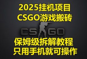 2025挂G项目，CSGO游戏搬砖，保姆级拆解教程，只用手机就可操作【揭秘】-16888副业资讯