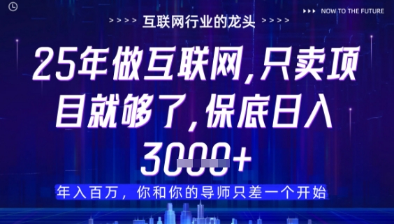 什么！25年你还在找项目做？风口早就变了，卖项目才是稳挣不赔【揭秘】-16888副业资讯