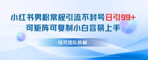 小红书男粉常规引流不封号日引99+变现简单 可矩阵可复制小白容易上手-16888副业资讯