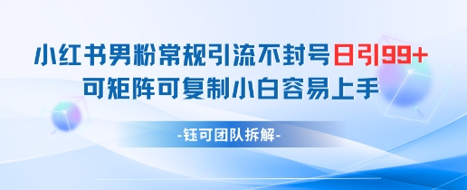 小红书男粉常规引流不封号日引99+变现简单 可矩阵可复制小白容易上手-16888副业资讯