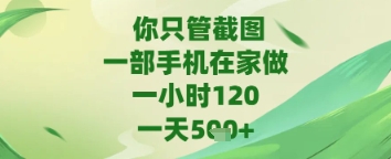 你只管截图，一部手机在家做，苹果安卓都可以，一天5张+【揭秘】-16888副业资讯