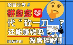 【2025最新】拼多多代坎助力项目深度拆解:还能挣钱吗?全流程玩法-16888副业资讯