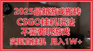 2025最新游戏搬砖，CSGO挂G，不需要玩游戏，实现真挂G，月入1W+【揭秘】-16888副业资讯