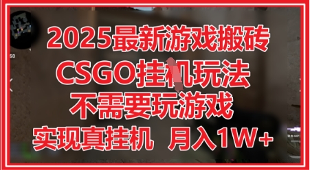 2025最新游戏搬砖，CSGO挂G，不需要玩游戏，实现真挂G，月入1W+【揭秘】-16888副业资讯