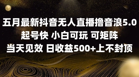 2025五月最新无人直播撸音浪单日产出5张+实操教程【揭秘】-16888副业资讯