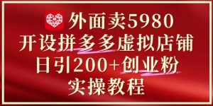 外面卖5980开设拼多多虚拟店铺:单日引流200+创业付费粉实战教程-16888副业资讯