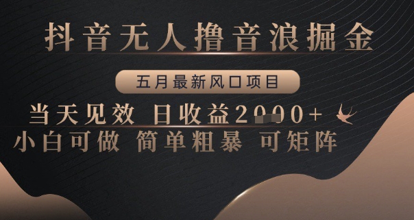抖音无人撸音浪掘金，五月最新风口项目，当天见效，日收益多张，小白可做简单粗暴可矩阵【揭秘】-16888副业资讯