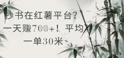 抄书在小红薯平台？平均一单30米，一天收益几张！-16888副业资讯