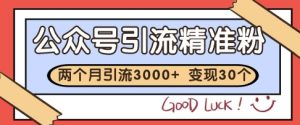 公众号精准粉引流玩法,2个月3000+精准粉,变现30个W【揭秘】-16888副业资讯