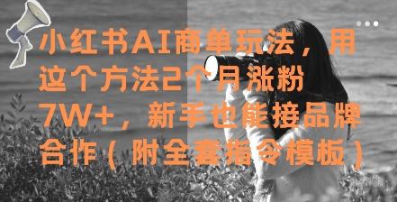 小红书AI商单玩法，用这个方法2个月涨粉7W+，新手也能接品牌合作(附全套指令模板)-16888副业资讯
