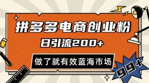拼多多引流电商创业粉,日引200+,可矩阵放大,做了就有效【揭秘】-16888副业资讯