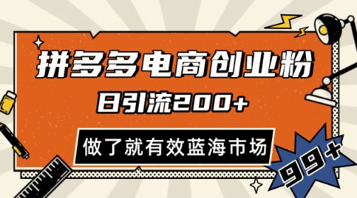 拼多多引流电商创业粉，日引200+，可矩阵放大，做了就有效【揭秘】-16888副业资讯
