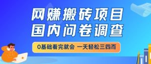 网创搬砖项目,国内问卷调查,小白轻松上手,一天三四张的也不难,干就完了【揭秘】-16888副业资讯