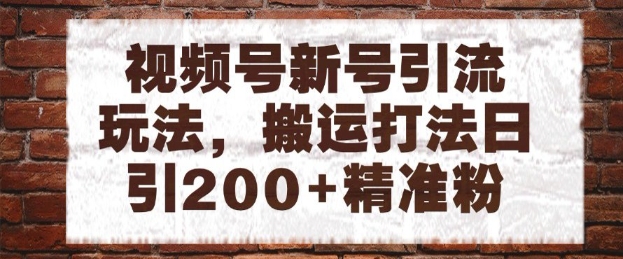 视频号新号引流玩法，搬运打法日引200+精准粉，可矩阵放大【揭秘】-16888副业资讯