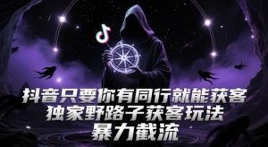 抖音只要你有同行就能获客，独家野路子获客玩法，暴力截流【揭秘】-16888副业资讯