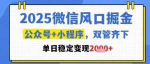 2025微信风口掘金,公众号+小程序双管齐下,单日稳定变现1k+【揭秘】-16888副业资讯