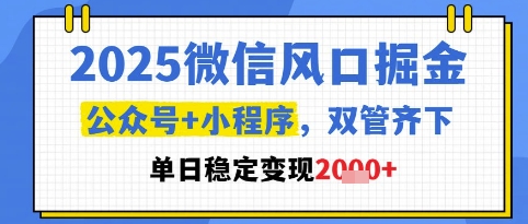 2025微信风口掘金，公众号+小程序双管齐下，单日稳定变现1k+【揭秘】-16888副业资讯