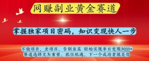 网创副业黄全赛道,掌握独家项目密码,知识变现快人一步,告别韭菜轻松实现单日变现1k+【揭秘】-16888副业资讯