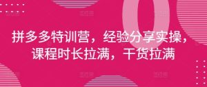 拼多多特训营,经验分享实操,课程时长拉满,干货拉满(更新25年4月)-16888副业资讯