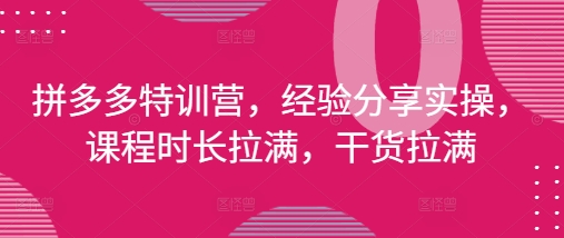 拼多多特训营，经验分享实操，课程时长拉满，干货拉满(更新25年4月)-16888副业资讯