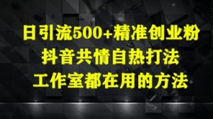 日引流500+精准创业粉,抖音共情自热打法,工作室都在用的方法-16888副业资讯