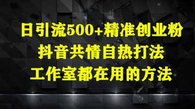 日引流500+精准创业粉，抖音共情自热打法，工作室都在用的方法-16888副业资讯