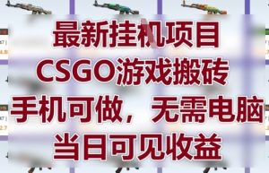 最新挂G项目，CSGO游戏搬砖，手机可做，无需电脑，当日见收益【揭秘】-16888副业资讯